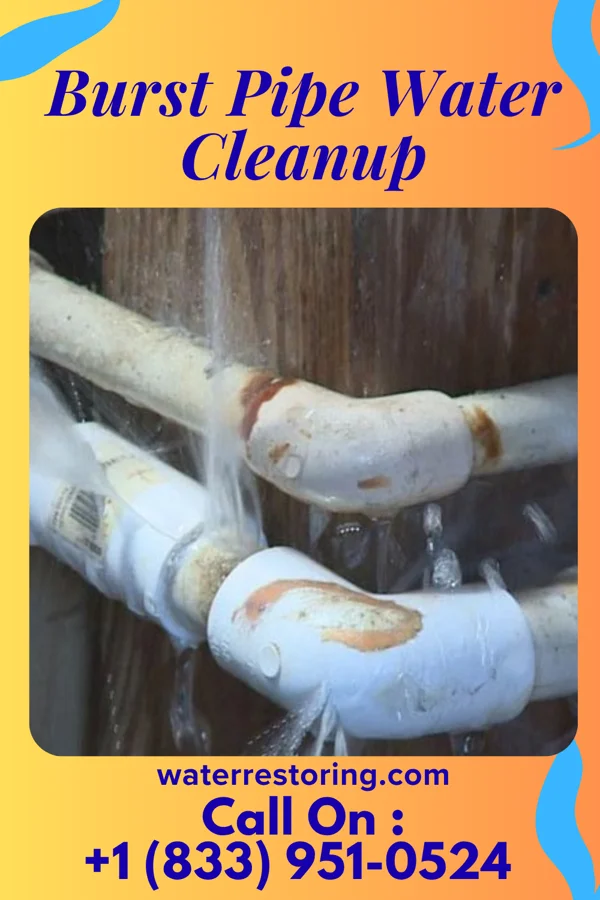Burst Pipe Water Cleanup in Wymore, NE
