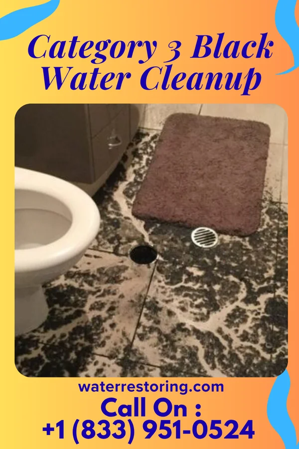Category 3 Black Water Cleanup in Wymore, NE